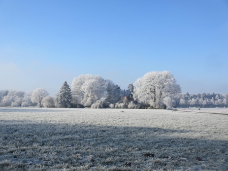Januar: Winteridylle am Gerkentorsweg.