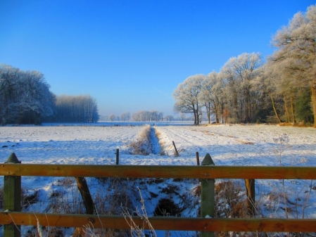 Januar: Winterlandschaft an der Nutteler Bäke.