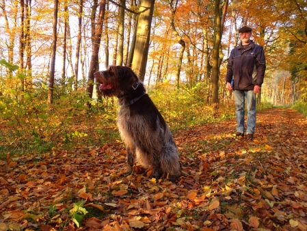 Spaziergang durch die Börns. (Foto: Alice Frerichs)