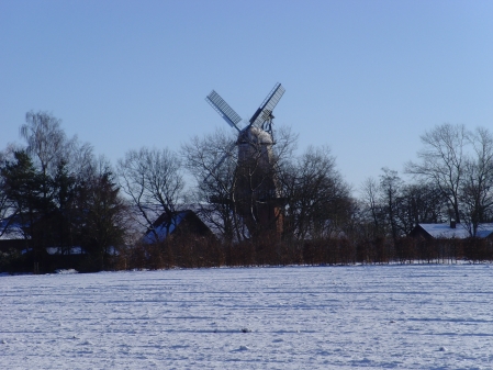 Die Querensteder Mühle im Winter