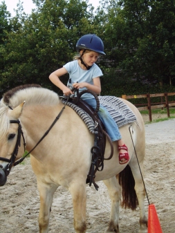 Tag der offenen Stalltür am 04. Oktober beim Reitverein Edewecht / Reitanlage Lübben