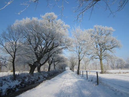 Winterlandschaft in Nordloh und am Nordloher Tief