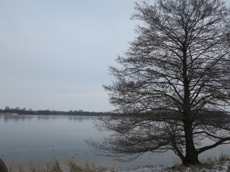 Bornhorster See Januar 2013 am Nachmittag