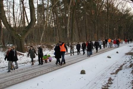 Geradewegs zum Grünkohl