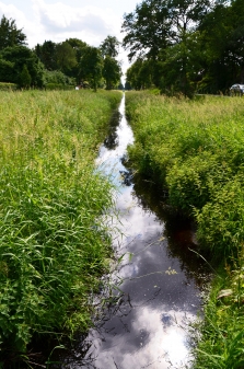 Augustfehn-Kanal in Augustfehn III