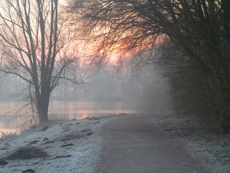 Aufgehende Sonne am Bornhorster See im Februar