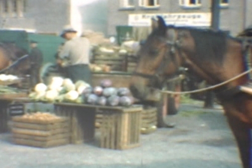 Westersteder Wochenmarkt 1950