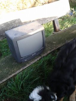 TV-Bank