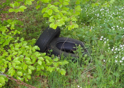 Schutt und Müll am Waldweg