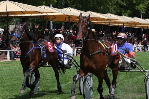 Ausfall der Pferderennsportveranstaltung am  18. Mai  im Schloßpark zu Rastede