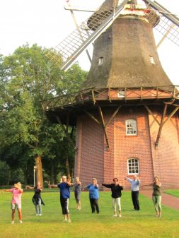 Kraniche trainieren im Kurpark vor der Mühle.