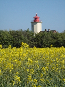 Das legendäre Rockfestival auf Fehmarn hat in der Nähe stattgefunden