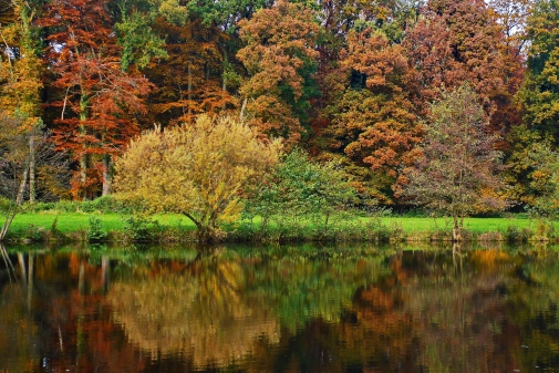 Herbstimpressionen