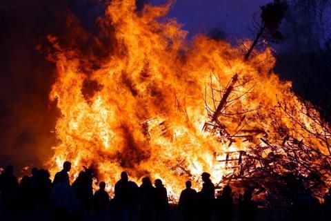 Strauchwerk/Äste fürs Osterfeuer