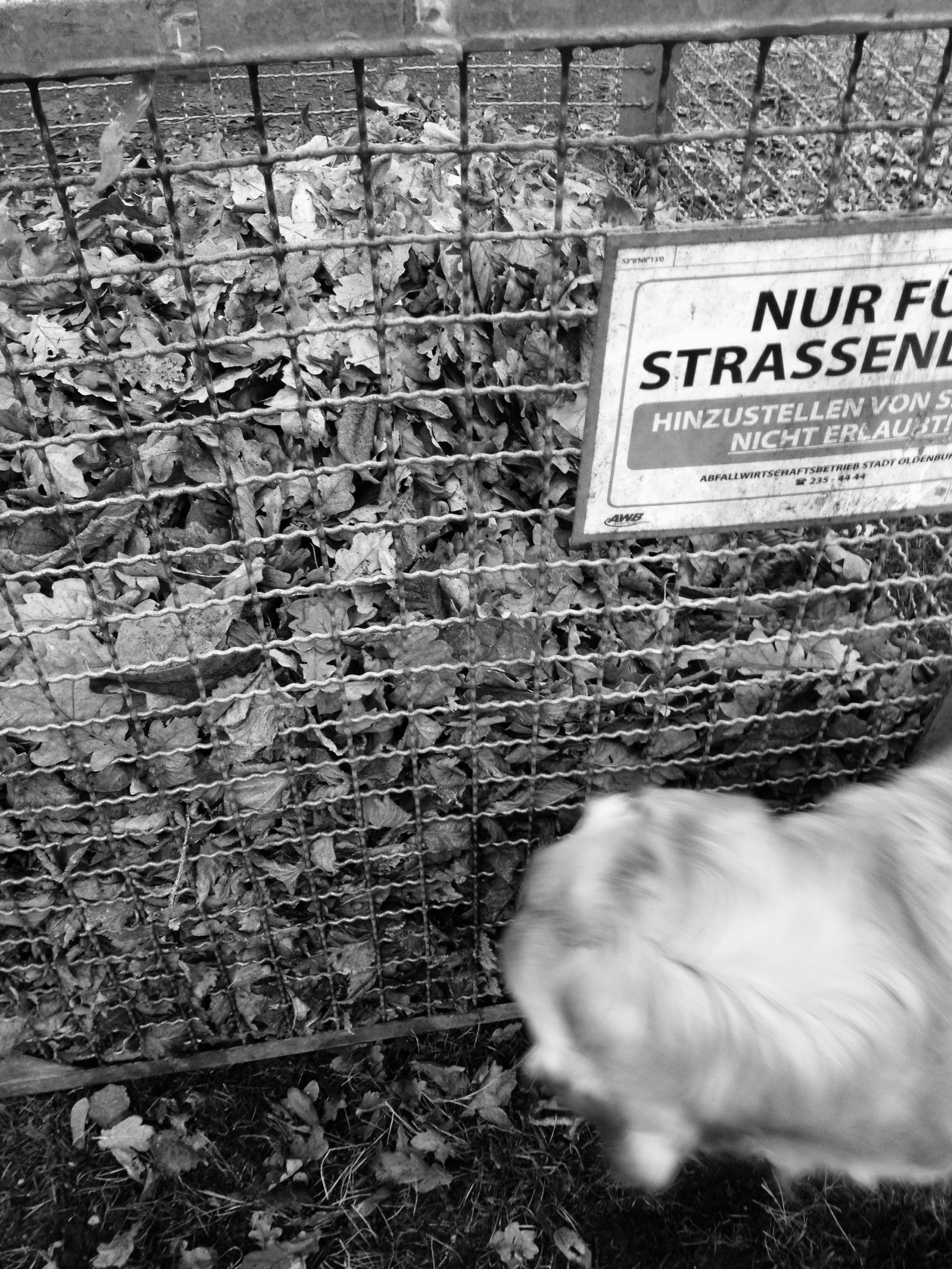 Einzig Und Allein Einzig Und Allein