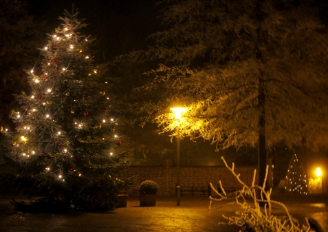 Im weihnachtlichen Glanz erstrahlt der Tannenbaum des Bürgervereins Etzhorn vor dem Etzhorner Krug