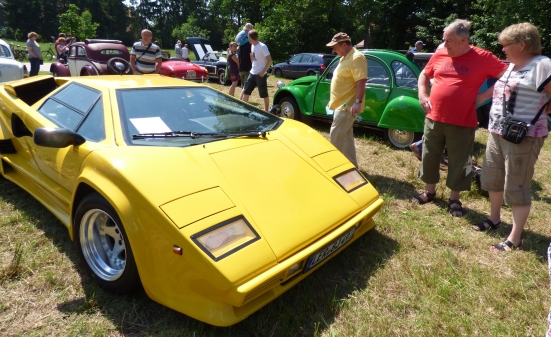 Dieser Lamborghini aus dem Jahre 1993 war im Vorjahr auf der Schau zu sehen. Jetzt werden PKW-Oldtimer und Traktoren erwartet.