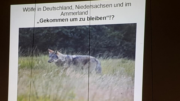 Vortrag Der WOLF im Ammerland in Apen