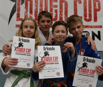 Judoka des PSV heimsen Medallien ein