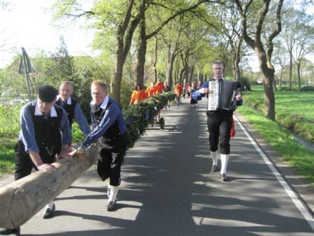 In einer Art Prozession wird, in Ammerländer Trachten, der geschmückte Maibaum 2008 durchs Dorf zum Ziel getragen...