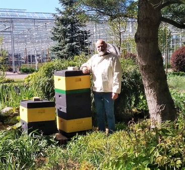 Horst Herborth mit seinen Bienen im benachbarten Schaugarten von zu Jeddeloh Pflanzen