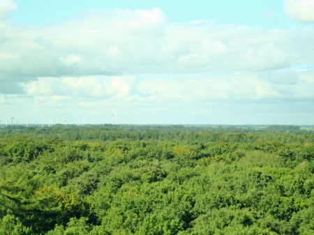 Wasserturm, Aussichtsplattform, Blick über den Vareler Wald. Bild: Thomas Suckow