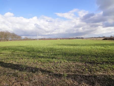 Agrarlandschaft mit Junghennenaufzuchtanlage im Bereich Garnholt