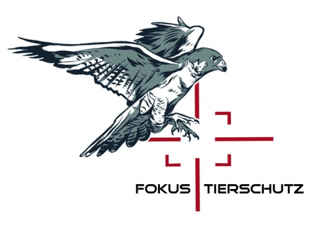 Aus Tierschutzgruppe Assistance wird FOKUS TIERSCHUTZ e.V.