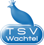 Zweiter TSV Wachtel Beach Cup