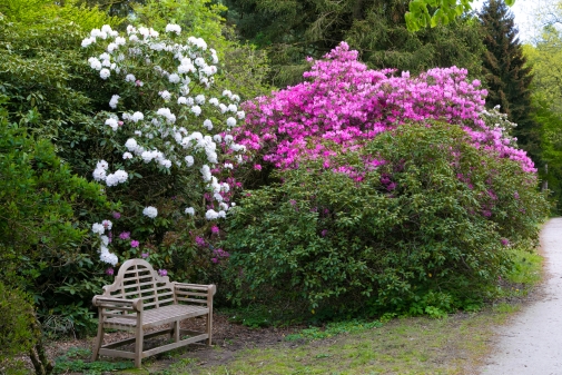 Gartentage im Rhododendronpark Hobbie