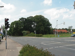 Dieser Anblick kommt nie wieder. Vor einem Jahr wurde die Baumgruppe auf dem Seyengelände gefällt.