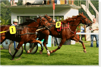 Trabrennen in Rastede