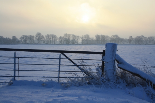 So schön ist das Ammerland im Winter. Haben Sie weitere Beispiele?