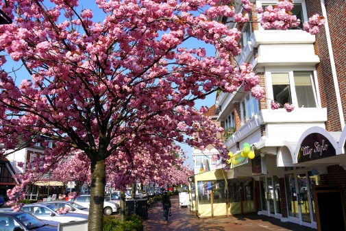 Bad Zwischenahn ist jetzt besonders schön
