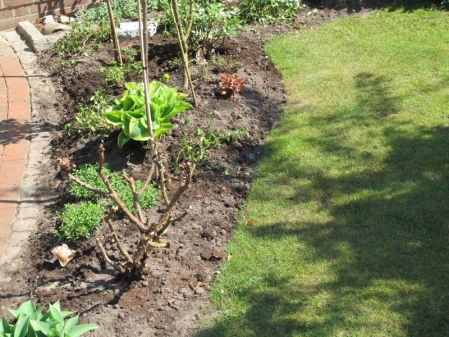 Aufbruchstimmung im Garten