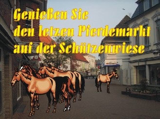 Na! - dafür bekommt die Innenstadt den Pferdemarkt!