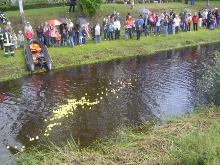 Quietscheenten auf dem Augustfehn-Kanal