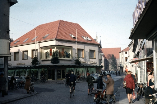 Hier entsteht das Krabbeltier Areal
