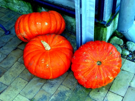 Herbstimpressionen im Park