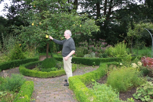 Dieter Thierfeld: so feine Äpfel wachsen in Heinis Garten