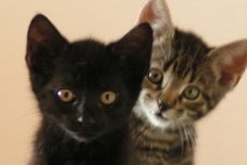 Auch uns haben die Tierfreunde das Leben gerettet.