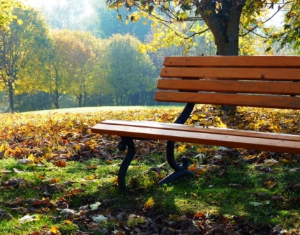 Spaziergang im November