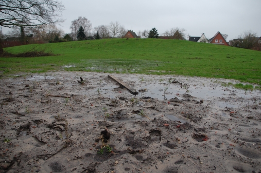 Beete vor dem Rodelberg