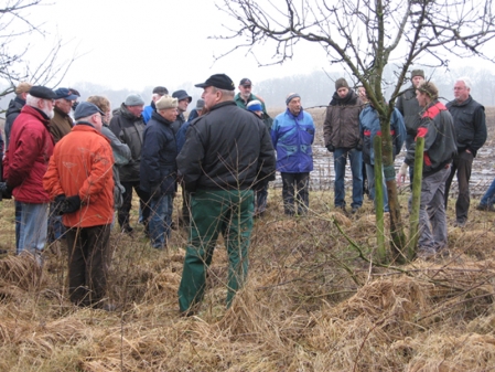 Obstbaumlehrschnitt in Bokel