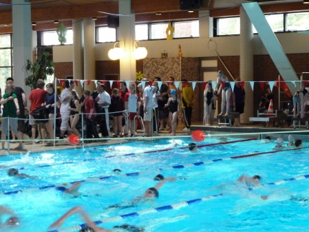 Schwimmwettkampf in Rastede sehr erfolgreich