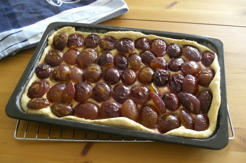 Pflaumenkuchen im Singel Backofen