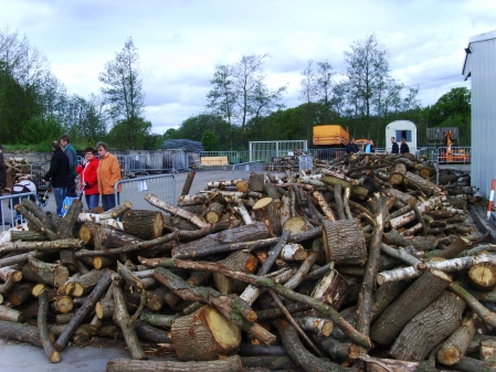 In Bad Zwischenahn war Holzauktion