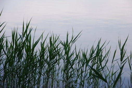 Idylle am Janßenteich. (Bild: Ursula Kroon)