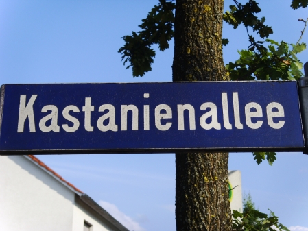 Es ist unklar, wie die Kastanienallee für Gäste und Bürger zu nutzen ist.