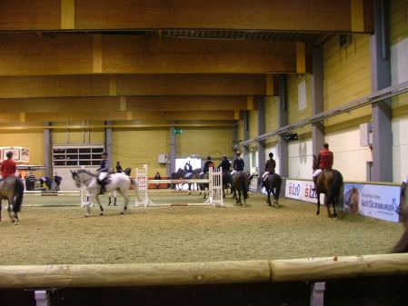 Pferdetage Oldenburg